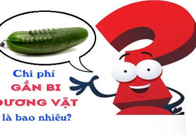 Chi Phí Cấy Bi Dương Vật 2025: Bảng Giá Chi Tiết và Yếu Tố Ảnh Hưởng