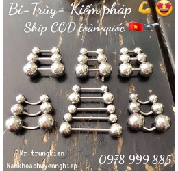 Tạ Trùy Khuyên Đeo Song Kiếm 