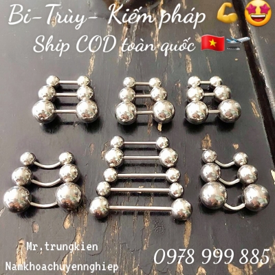 Tạ Trùy Khuyên Đeo Song Kiếm 